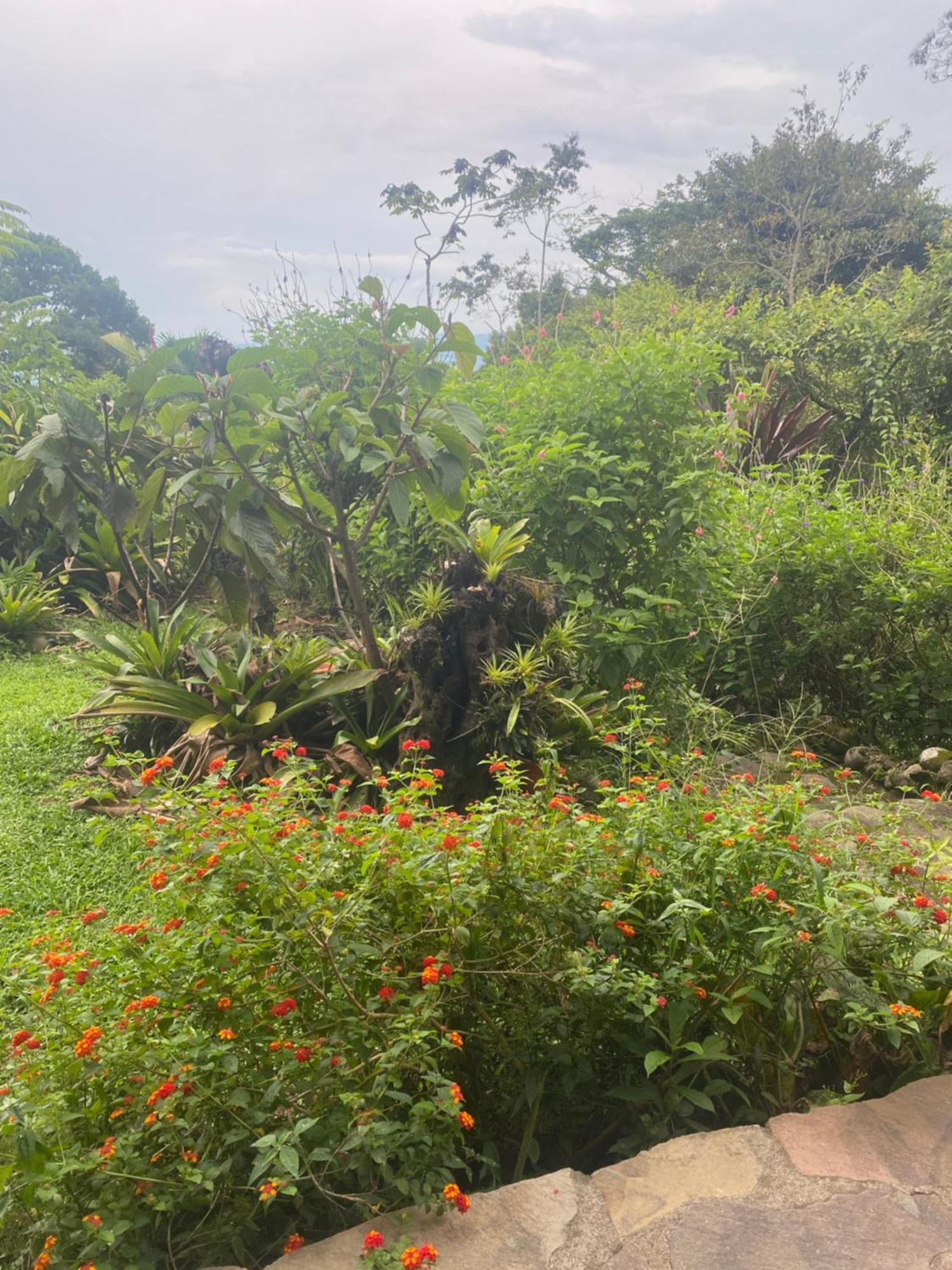 Birds & Breakfast Costa Rica La Tigra (San Carlos) Exterior foto