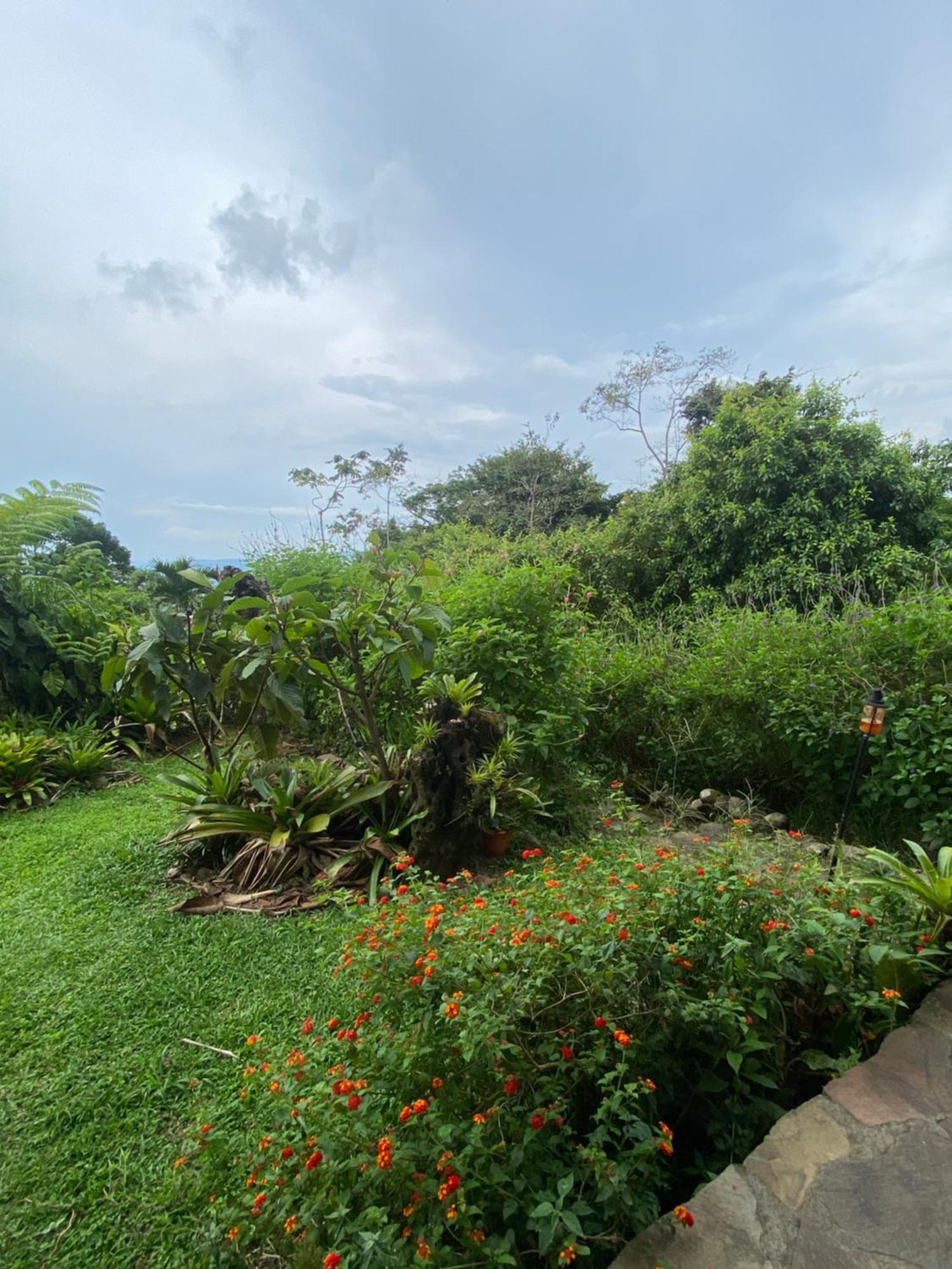 Birds & Breakfast Costa Rica La Tigra (San Carlos) Exterior foto