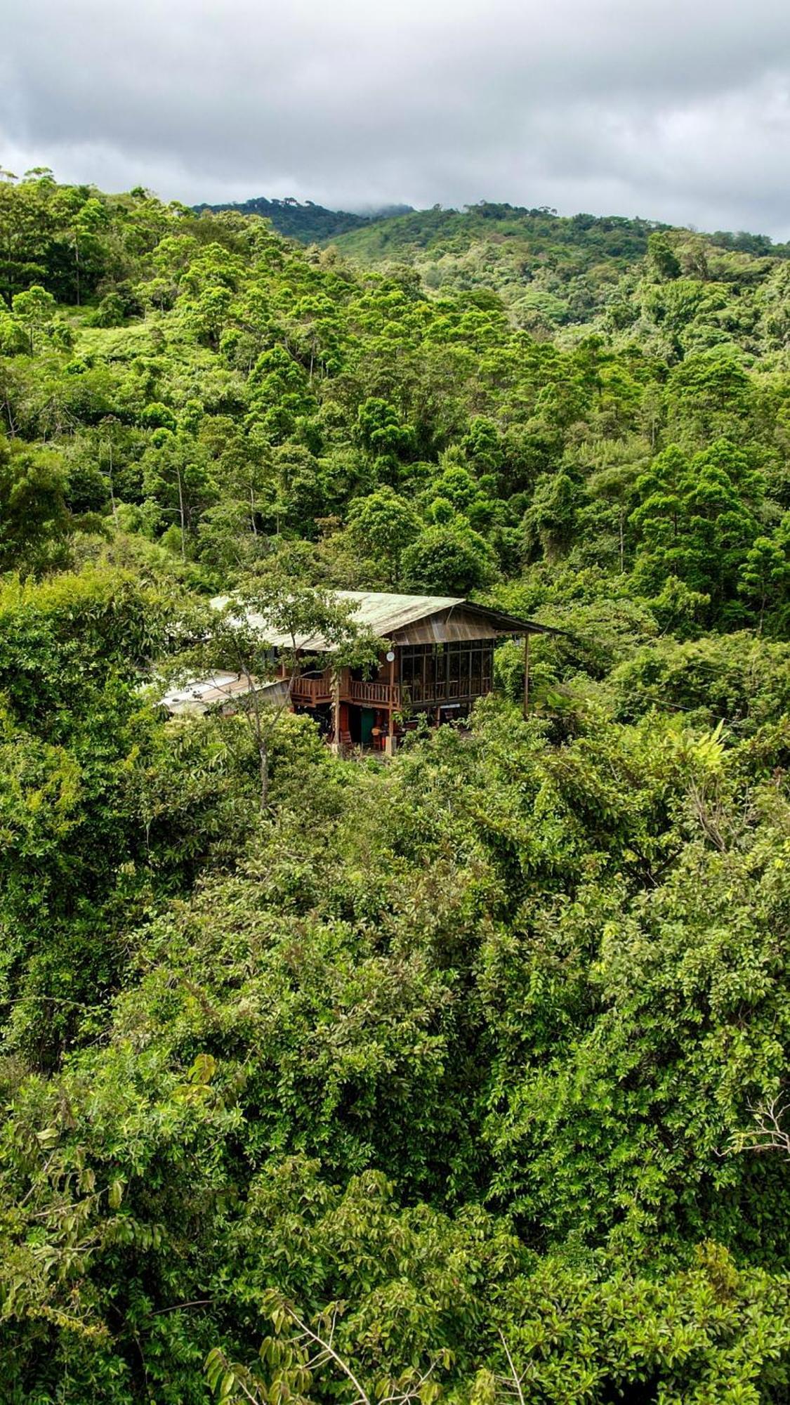 Birds & Breakfast Costa Rica La Tigra (San Carlos) Exterior foto
